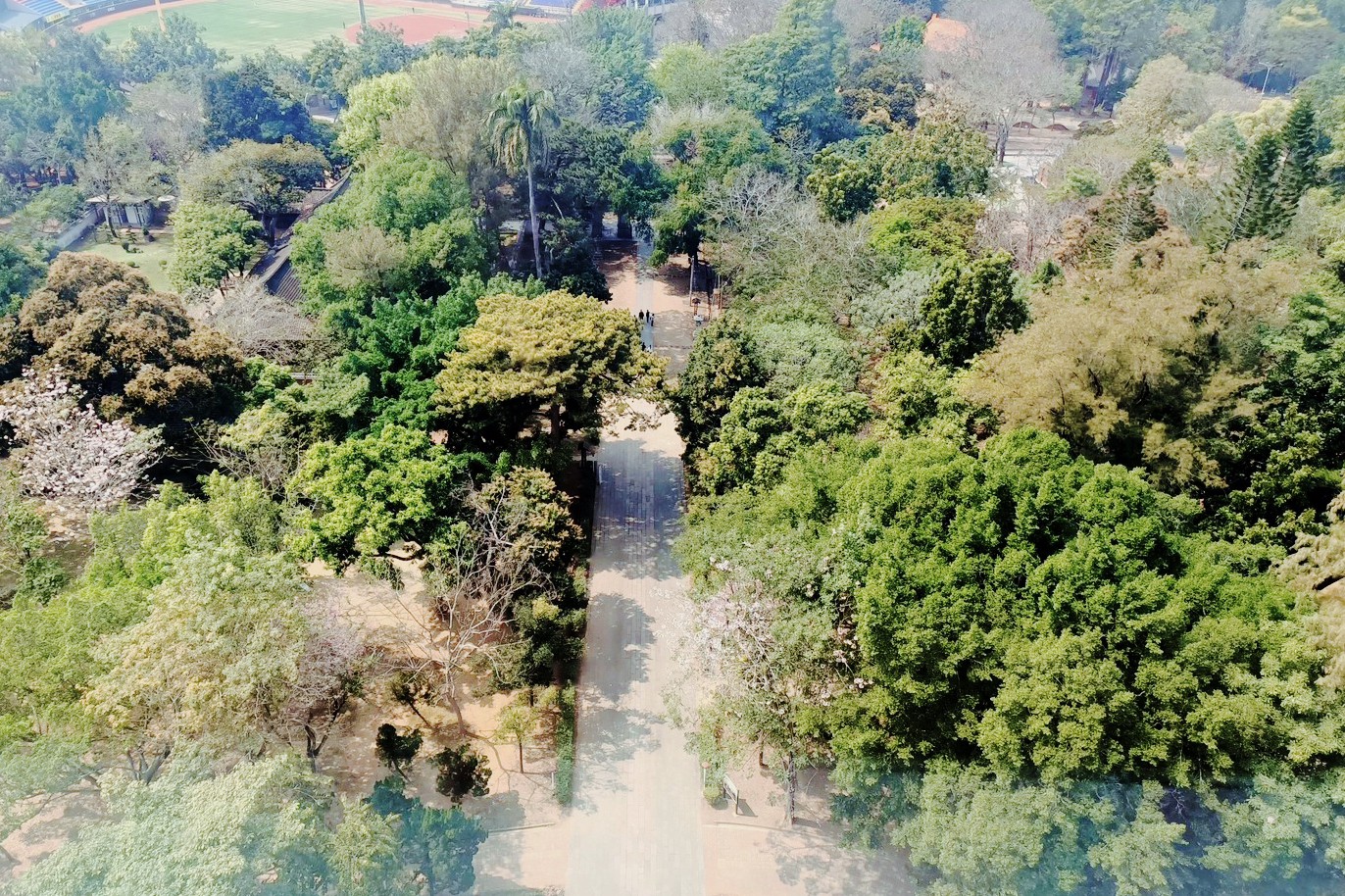 KANO園區,Kano遊客中心,免費景點,公園,嘉義之森Jmori,嘉義公園射日塔,嘉義景點,太空主題溜滑梯,孔廟,昭和十八j18,棒球場,樹屋尋寶遊戲場,親子景點