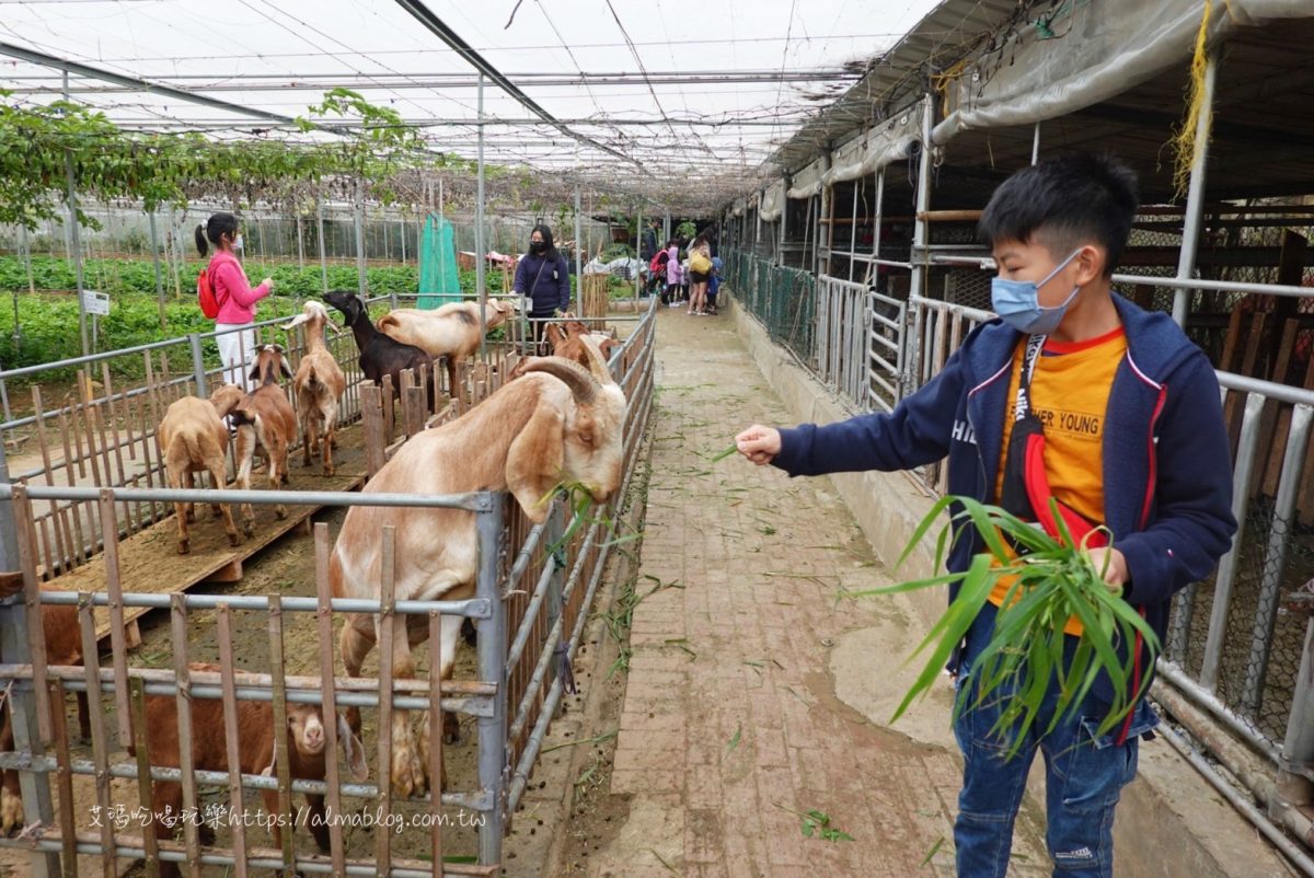 輕旅遊,旅遊,親子遊,雨天備案,博物館,農(nóng)場(chǎng)