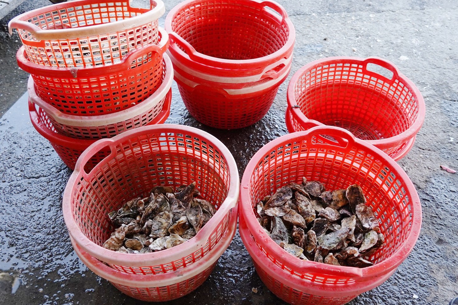 牛港魚池