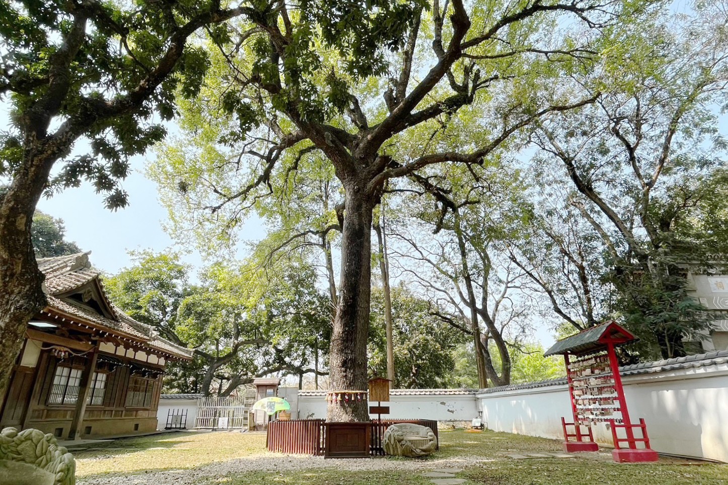 KANO園區,Kano遊客中心,免費景點,公園,嘉義之森Jmori,嘉義公園射日塔,嘉義景點,太空主題溜滑梯,孔廟,昭和十八j18,棒球場,樹屋尋寶遊戲場,親子景點