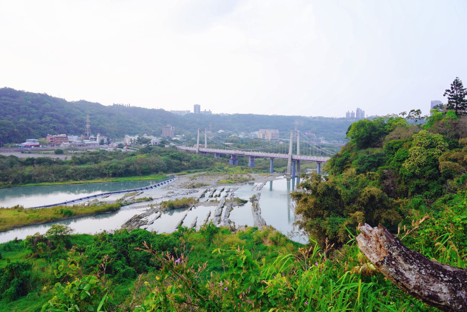 3D彩繪牆,住宿,大溪住宿,大溪咖啡館,大溪美食,大溪老城四季行館,大溪老街,桃園住宿,環(huán)保旅店,秘境41,隱花園景觀咖啡餐廳