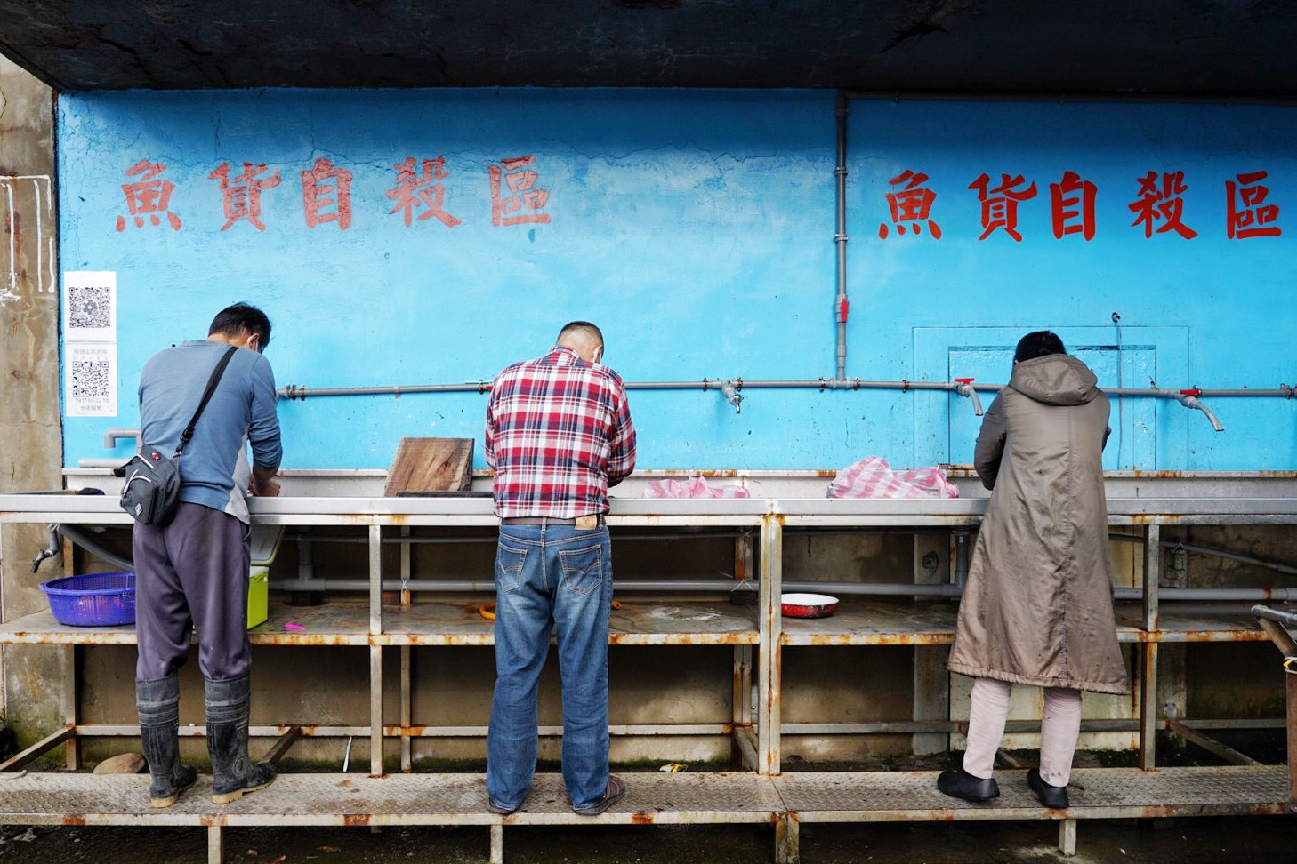 批發,新竹景點,明發定置漁場,買魚,野生魚瀑布,香山景點,魚,魚港