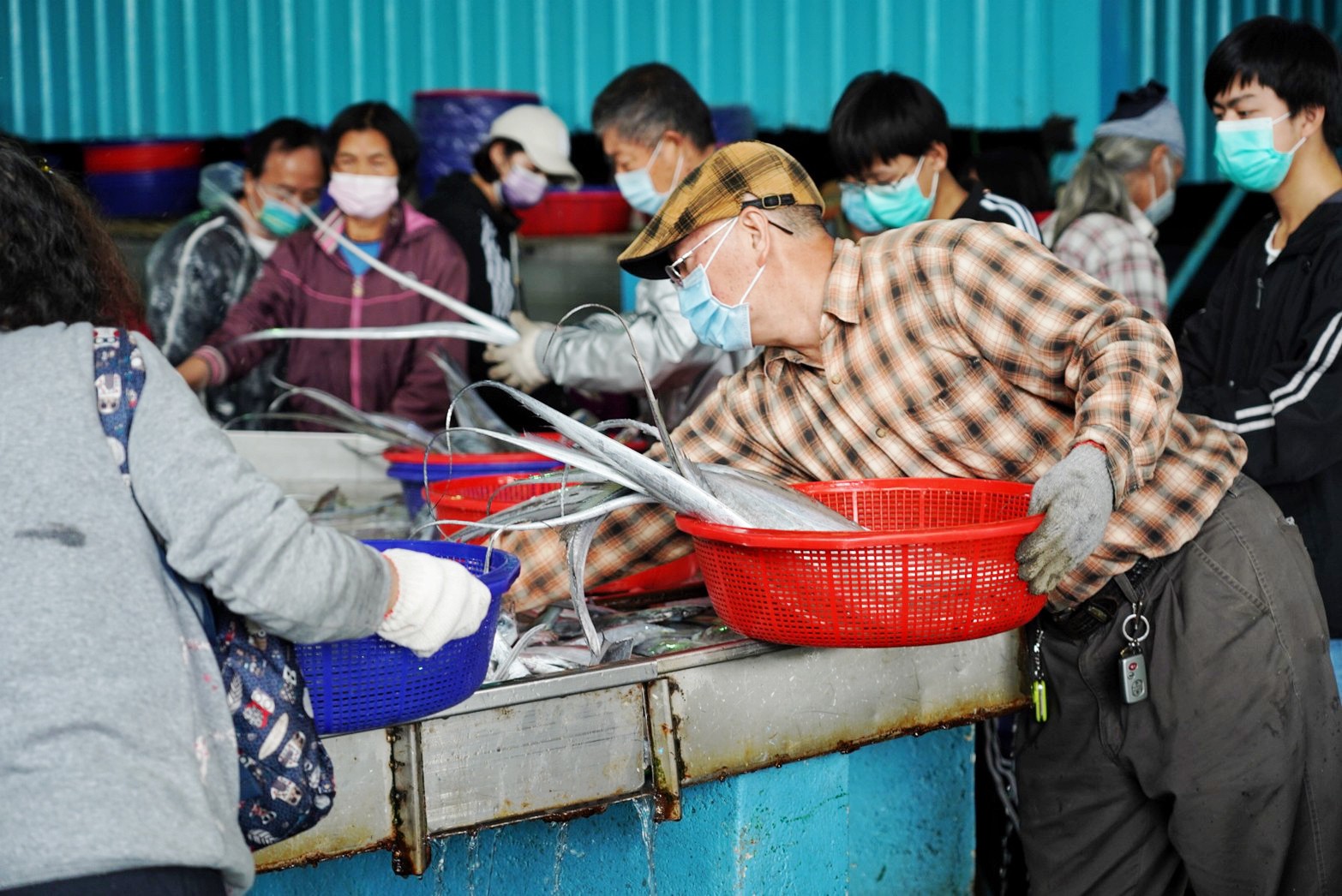 批發,新竹景點,明發定置漁場,買魚,野生魚瀑布,香山景點,魚,魚港