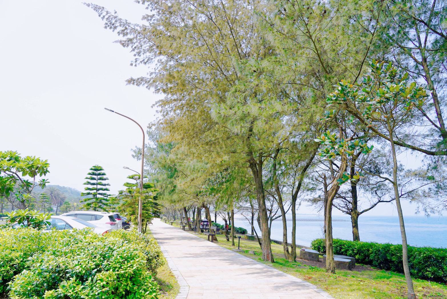 芝蘭公園海上觀景平臺(tái)