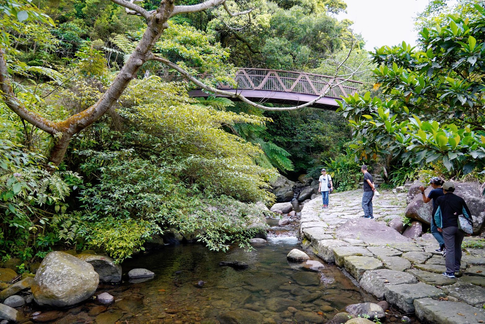 福田園休閒農(nóng)場x楓咖啡