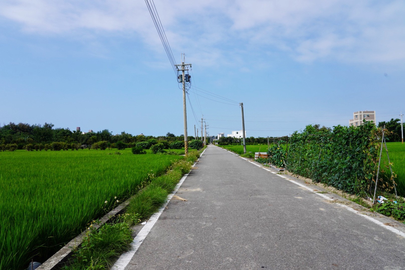 趙師傅窯烤麵包