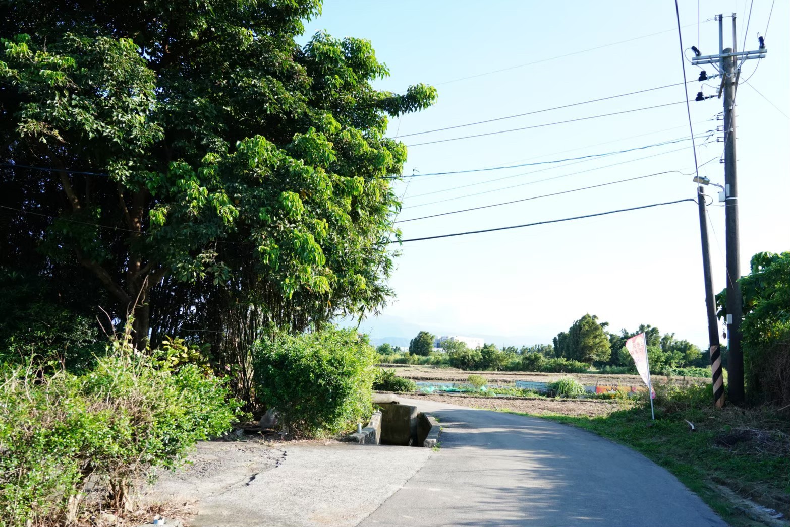 三合院手工蛋黃酥