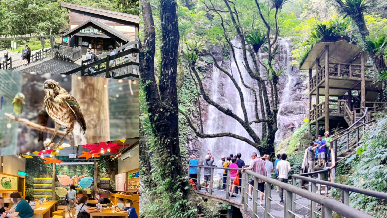 三峽好玩,三峽景點,國家森林公園,新北景點,滿月圓,滿月圓國家森林遊樂區,親子景點 @艾瑪  吃喝玩樂札記