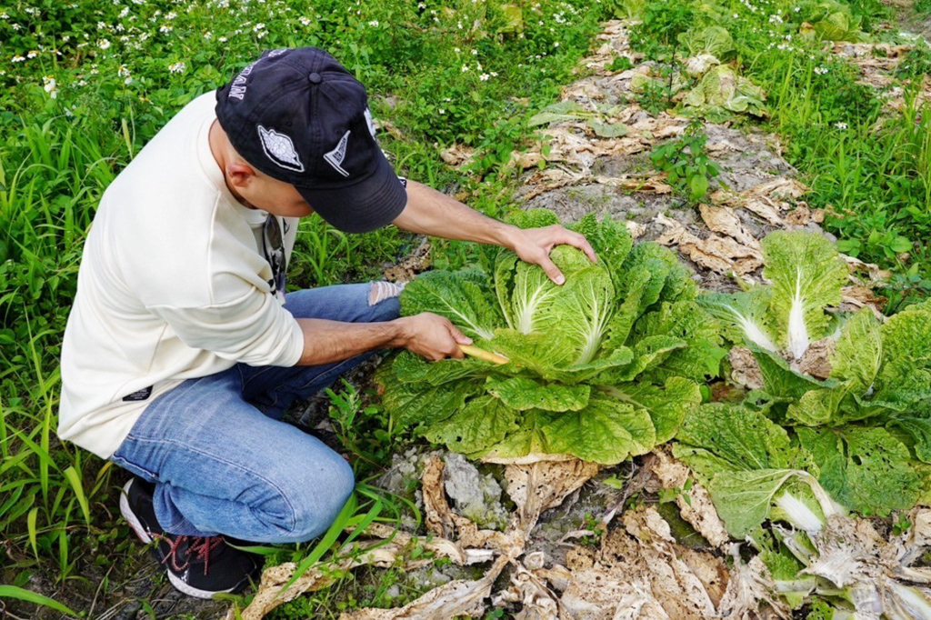 藍家友善農場