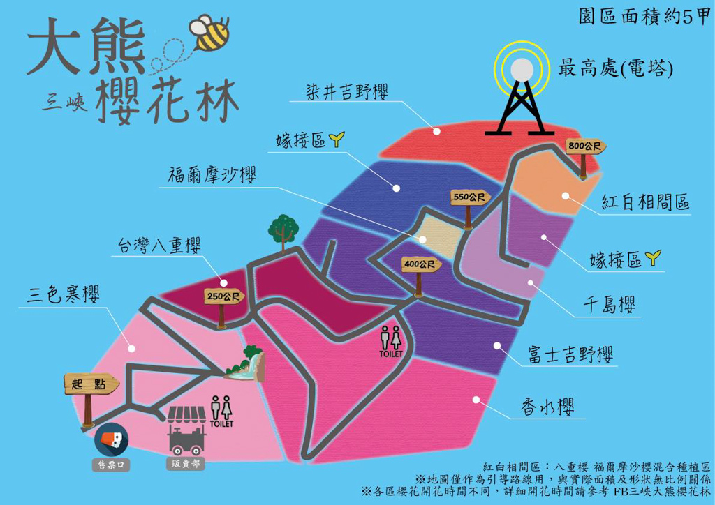 三峽大熊櫻花林,三峽景點(diǎn),新北景點(diǎn),賞櫻花,賞花,過年賞花