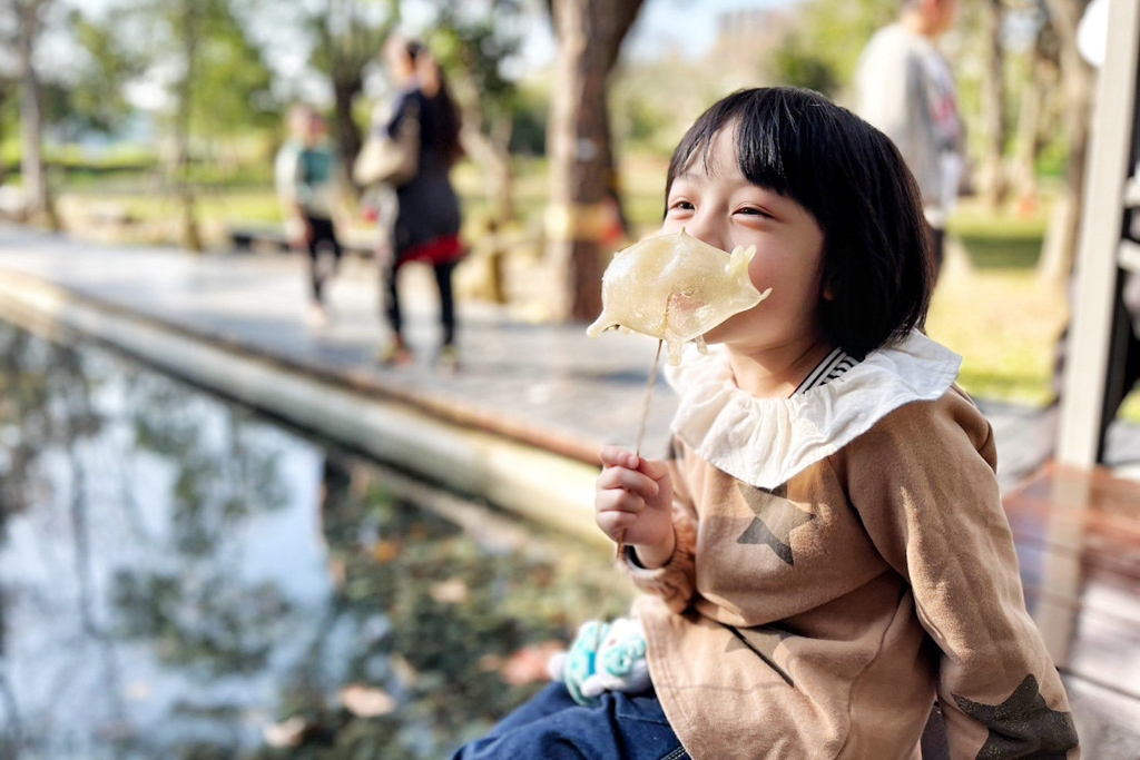 八德大湳森林公園