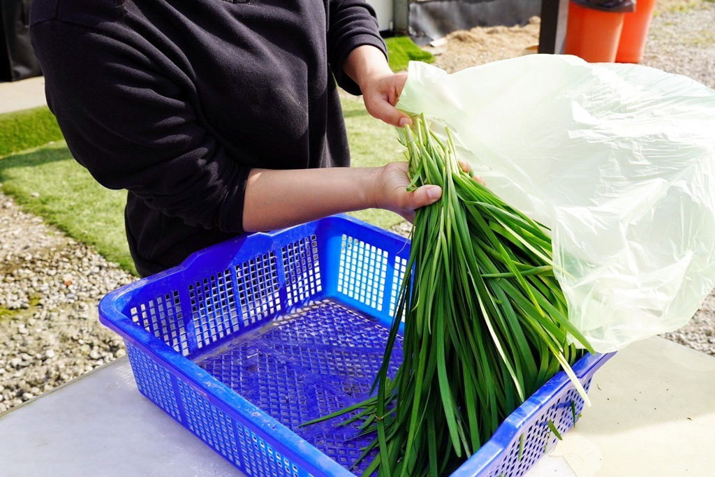 藍家友善農場