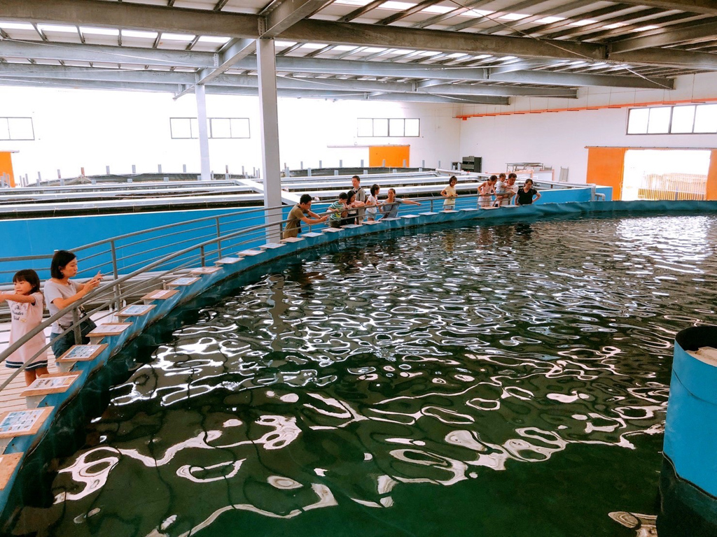 宜蘭景點,礁溪好玩,礁溪溫泉,礁溪泡湯,免費景點,宜蘭懶人包,礁溪懶人包,礁溪早餐,劉家早點,清珍早點,山東饅頭,拾松辦桌小吃,黑海時光粥,合鴨米灶腳,白水豆花,礁溪香腸伯,福哥石窯雞,Herbelle龍潭湖悠活園區,潭酵天地觀光工廠,猴洞坑瀑布,輕親魚朵生態園區,金車生技水產養殖研發中心,宜蘭忍者村,春水笈溫泉湯屋,美慶湯屋,東旅湯宿溫泉飯店, 奇立丹宿?食?湯,忠義香客大樓