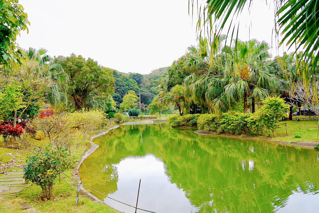 桃蘆坑休閒農(nóng)場